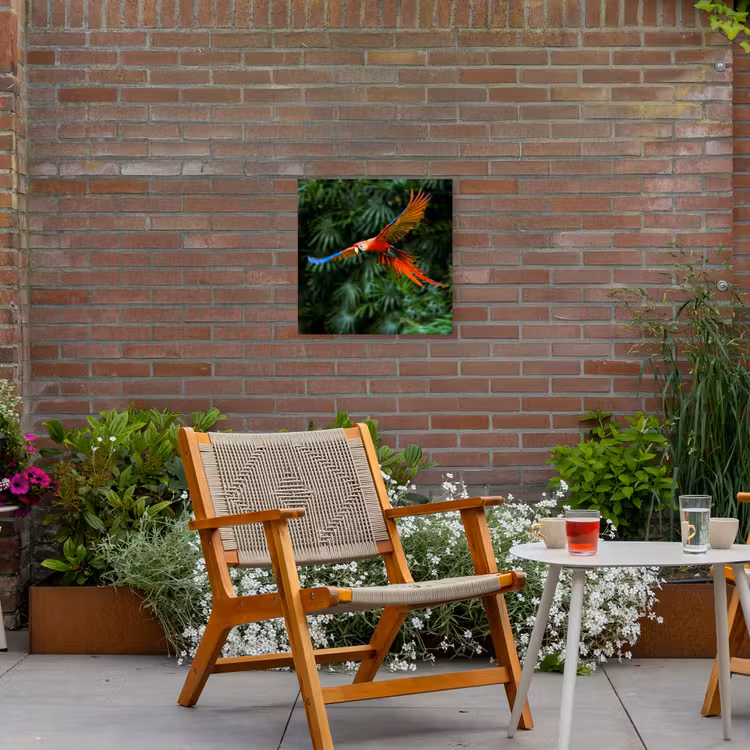 Buiten canvas - Kleurrijke papegaai is aan het vliegen — 2