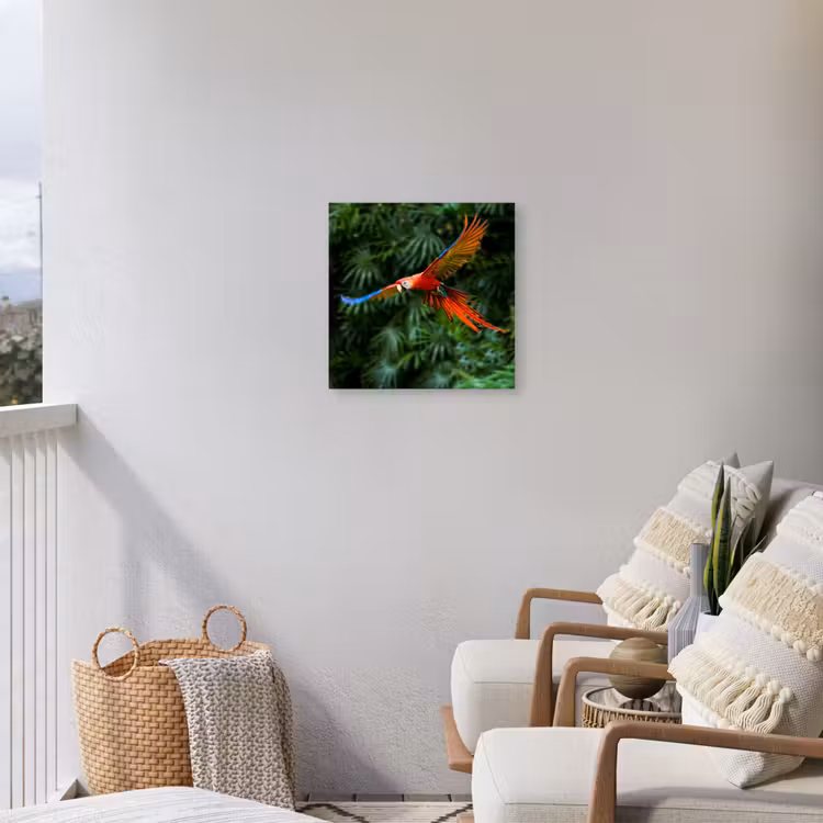 Buiten canvas - Kleurrijke papegaai is aan het vliegen — 4