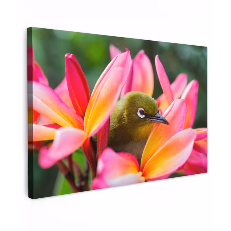 Buiten canvas - Tropische vogel tussen roze bloem — 1