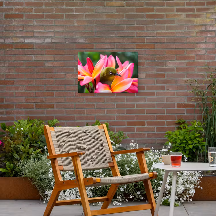 Buiten canvas - Tropische vogel tussen roze bloem — 2