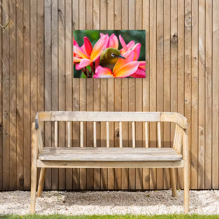 Buiten canvas - Tropische vogel tussen roze bloem — 3