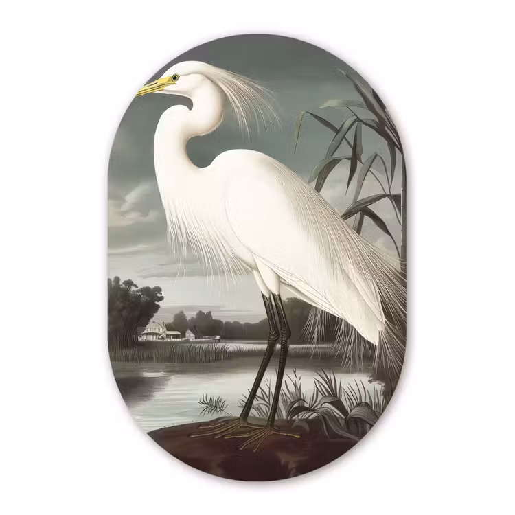 Muurovaal - Reiger - Planten - Wolken - Wit — 3