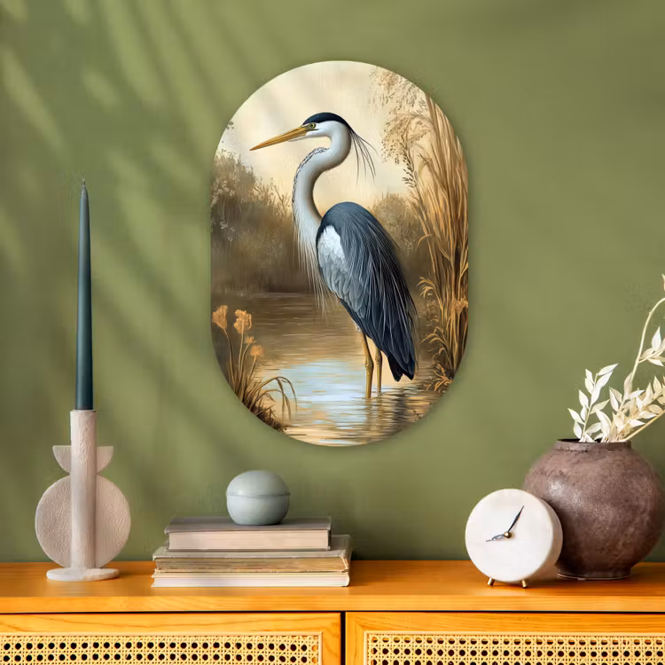 Muurovaal - Reiger - Water - Planten — 1