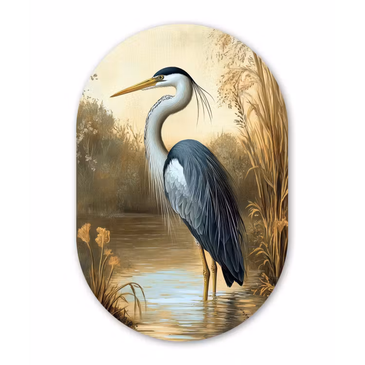 Muurovaal - Reiger - Water - Planten — 3