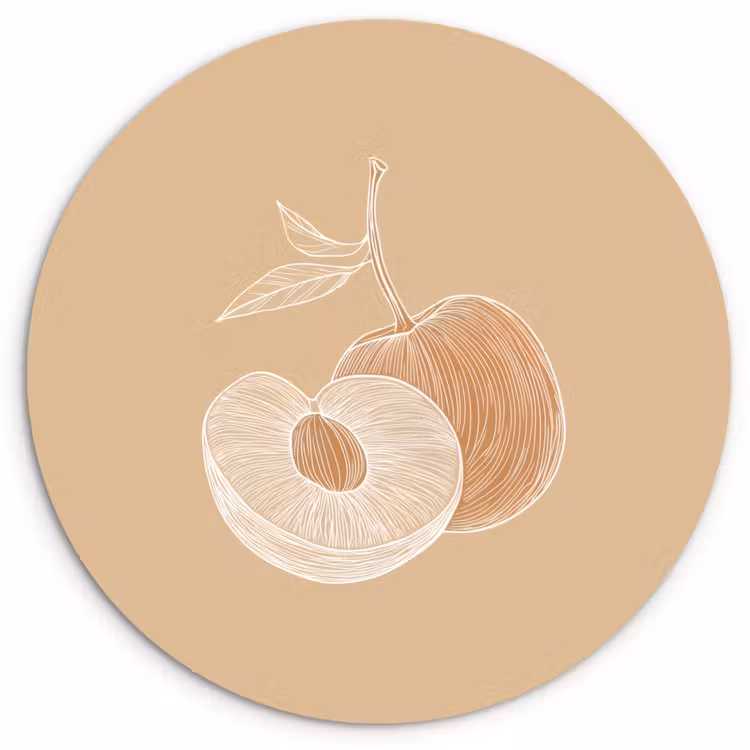 Muurcirkel - Perzik - Lijntekening - Pit - Beige — 1