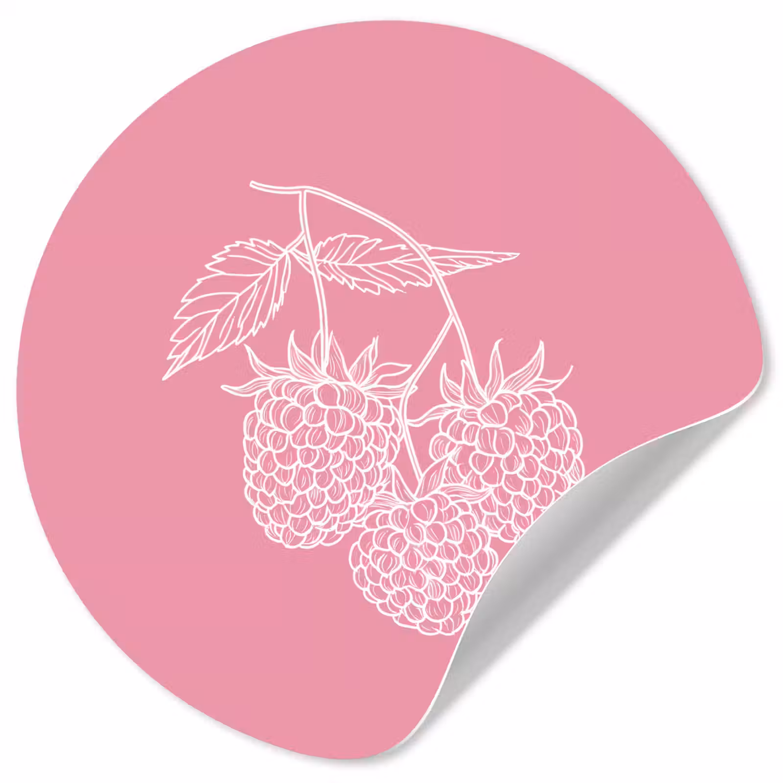 Behangcirkel - Frambozen - Steel - Getekend - Roze — 1
