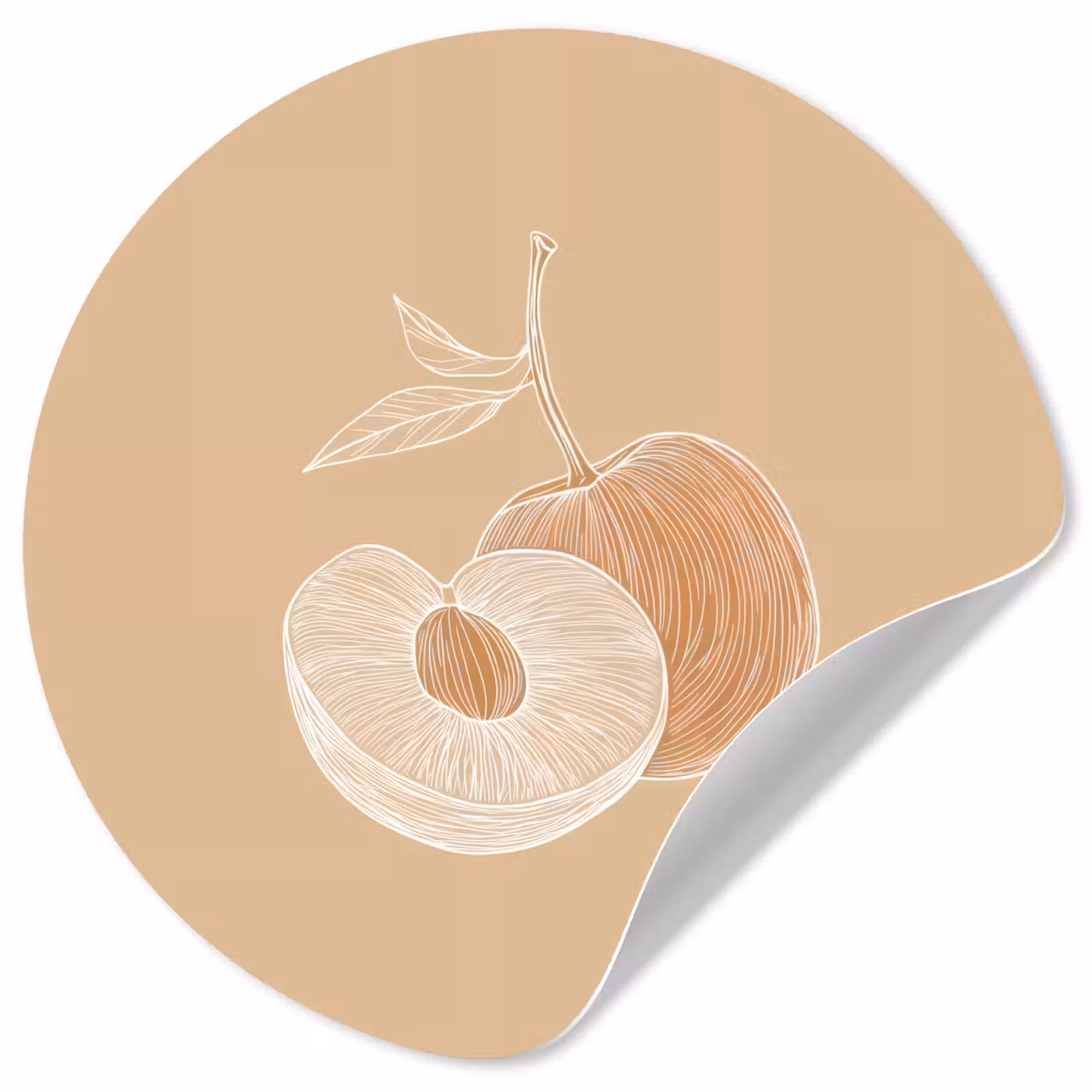 Behangcirkel - Perzik - Lijntekening - Pit - Beige — 1
