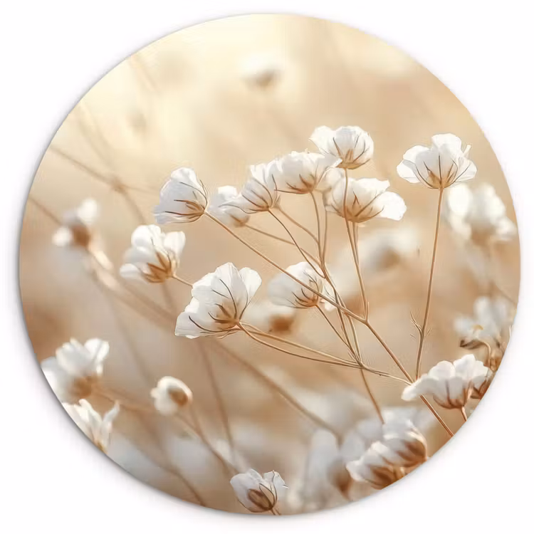 Muurcirkel - Witte Bloemen Beige
