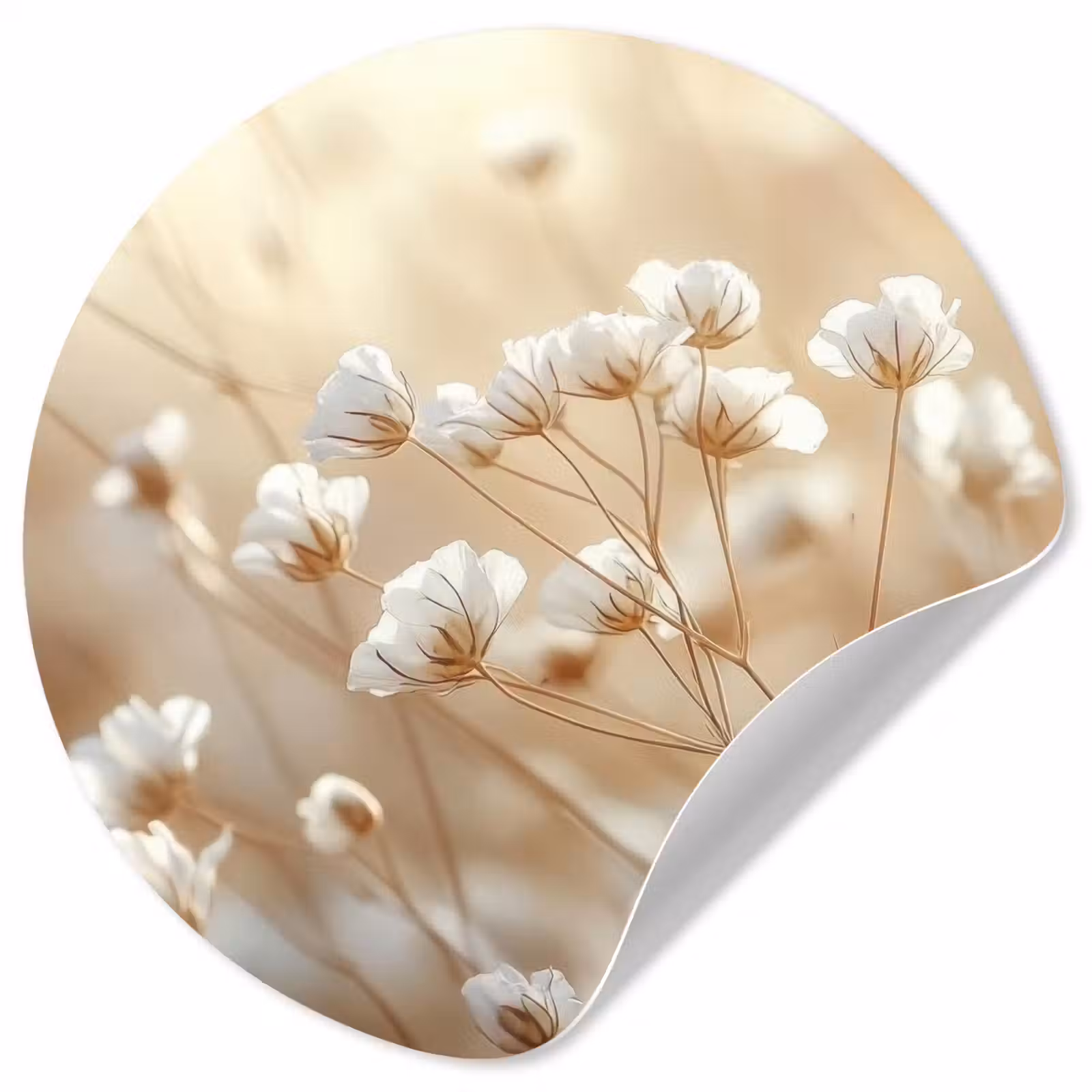 Behangcirkel - Wilde - Bloemen - Wit — 1