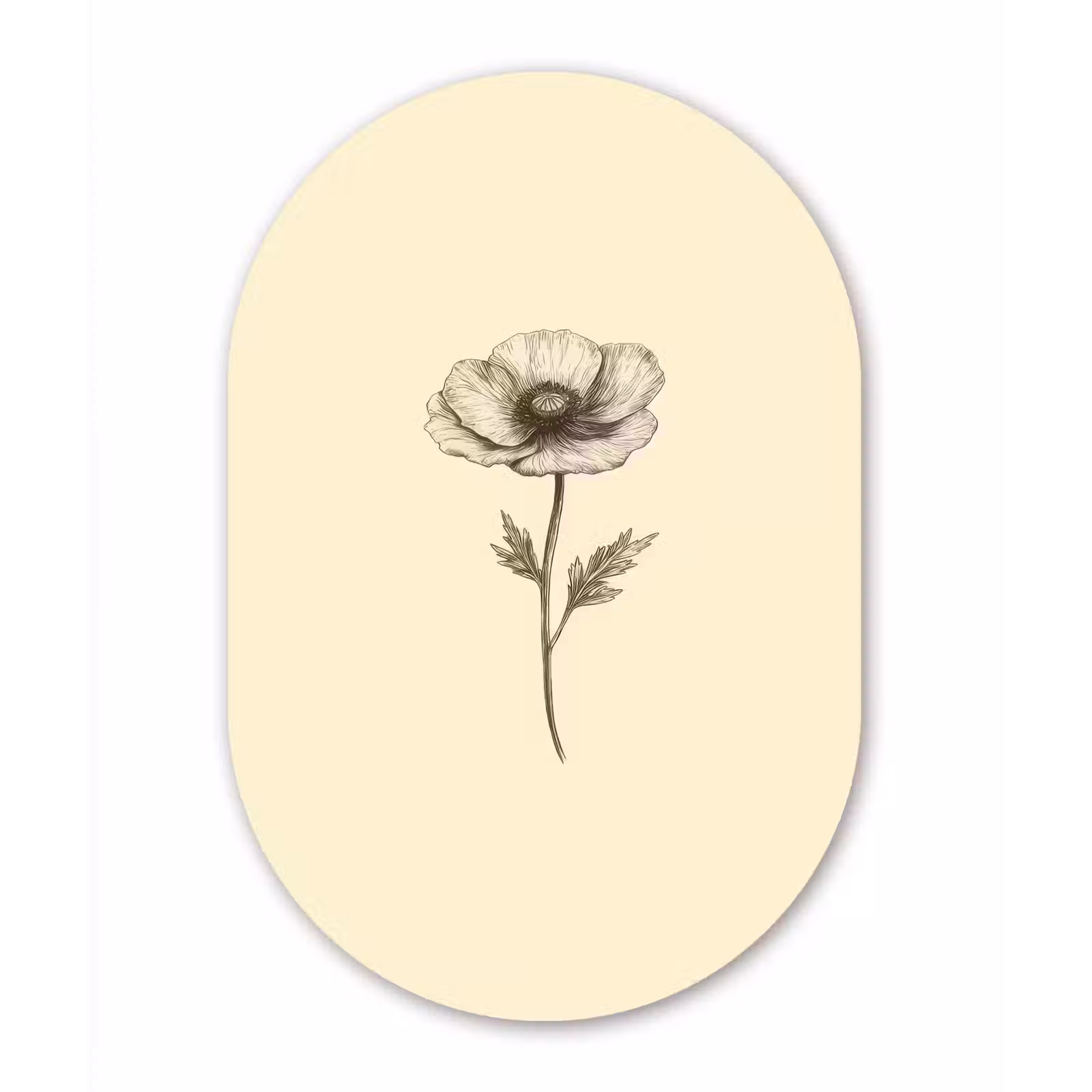 Muurovaal - Klaproos - Illustratie - Zwart — 1