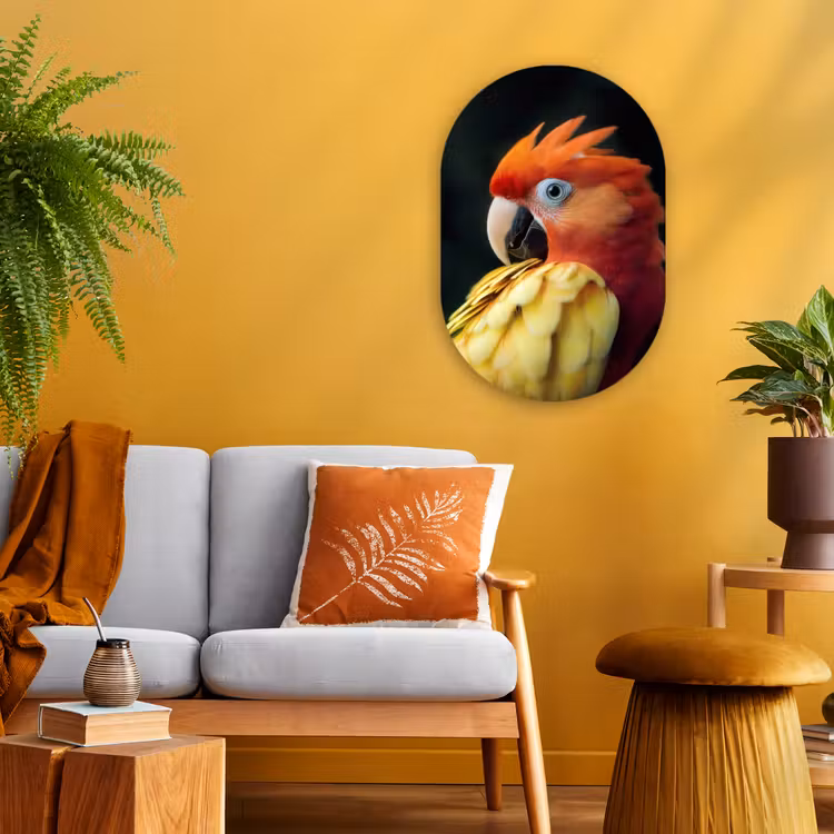 Muurovaal - Close-up - Papegaai - Veren - Oranje — 2