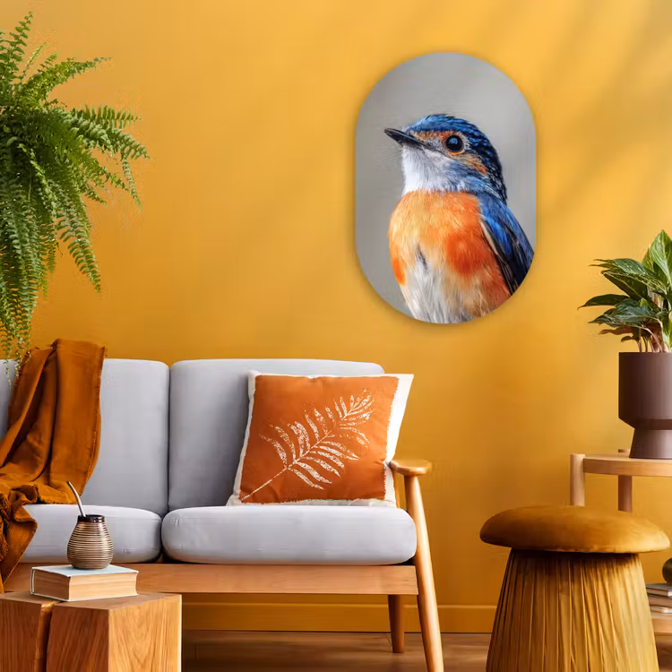 Muurovaal - Kleurrijk - Vogeltje - Veren - Blauw — 1