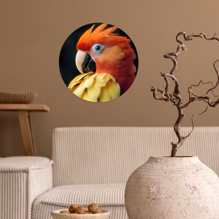 Behangcirkel - Close-up - Papegaai - Veren - Oranje — 2