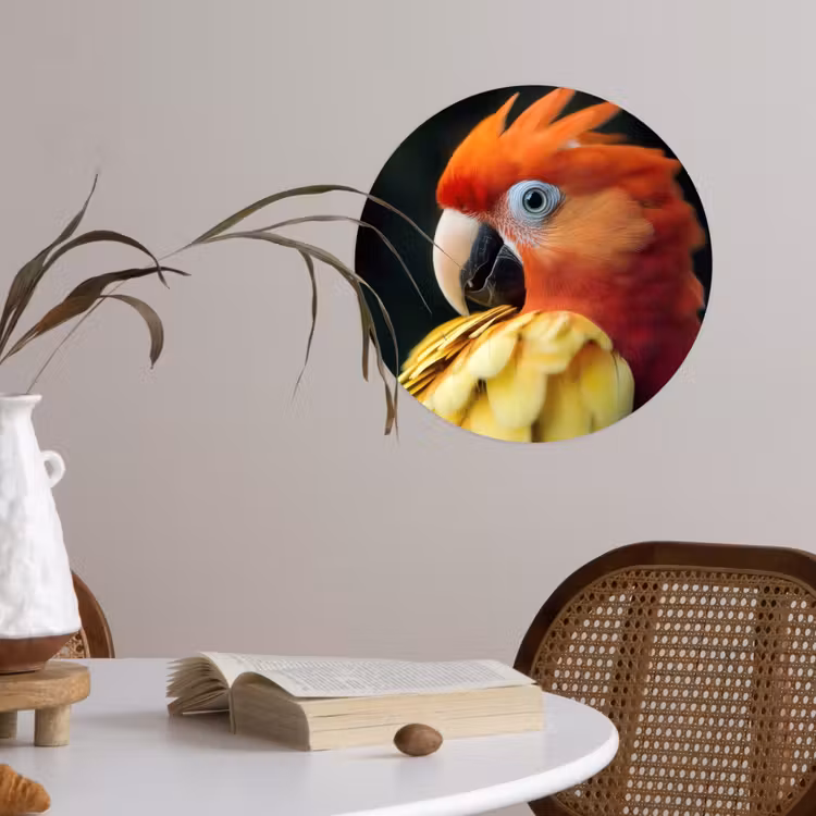 Behangcirkel - Close-up - Papegaai - Veren - Oranje — 4