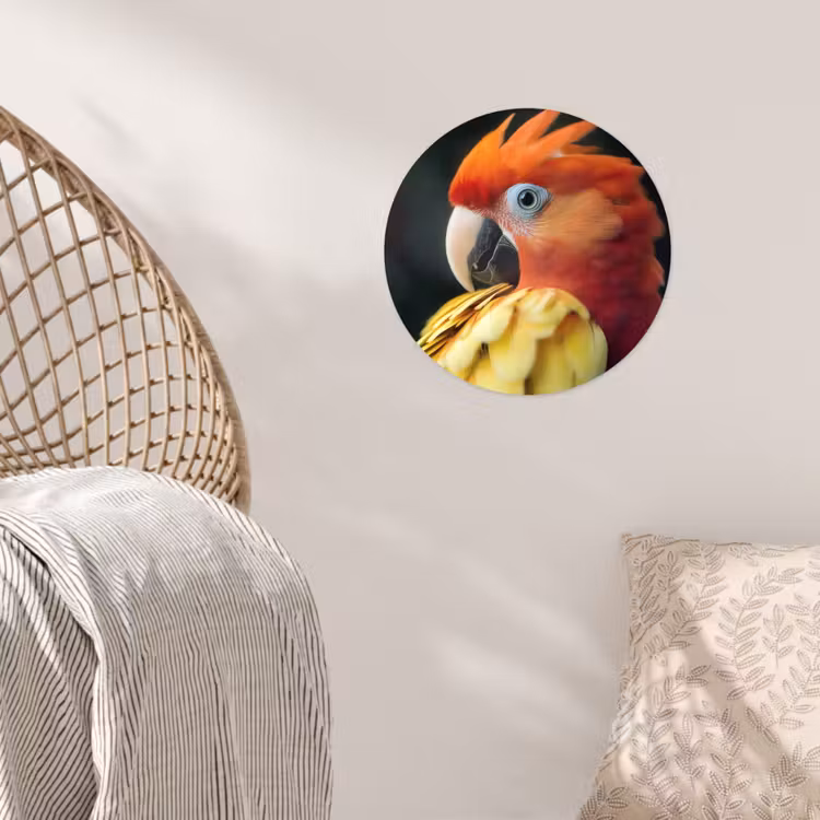 Behangcirkel - Close-up - Papegaai - Veren - Oranje — 5