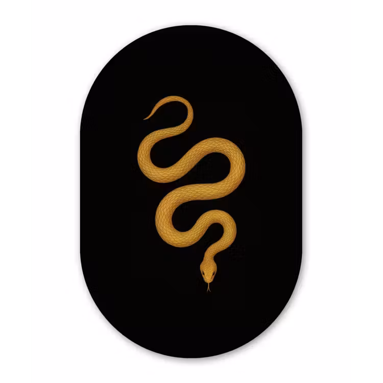 Muurovaal - Slang - Minimalistisch - Goud — 3