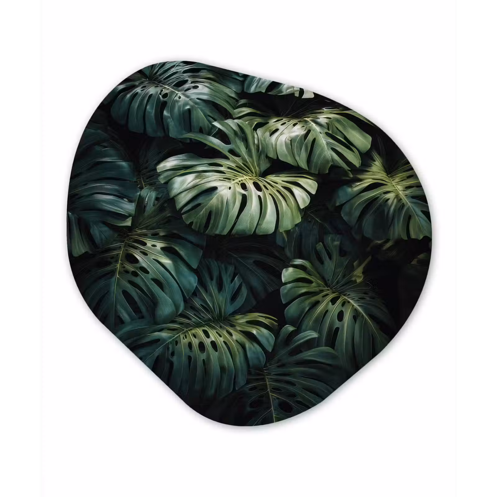 Organisch schilderij – Plant - Monstera - Lichtinval — 1