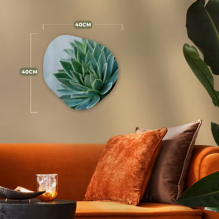 Organisch schilderij – Vetplant - Bladeren - Groen - Wazig — 4