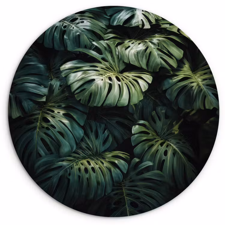 Muurcirkel - Plant - Monstera - Lichtinval — 1