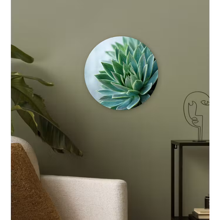 Muurcirkel - Vetplant - Bladeren - Groen - Wazig — 3
