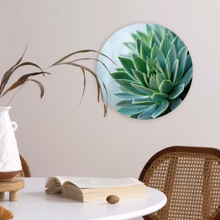Muurcirkel - Vetplant - Bladeren - Groen - Wazig — 4