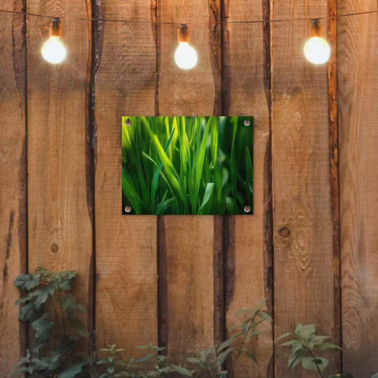 Tuinposter - Grassprieten - Lichtinval - Groen — 2