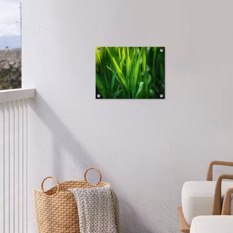 Tuinposter - Grassprieten - Lichtinval - Groen — 3