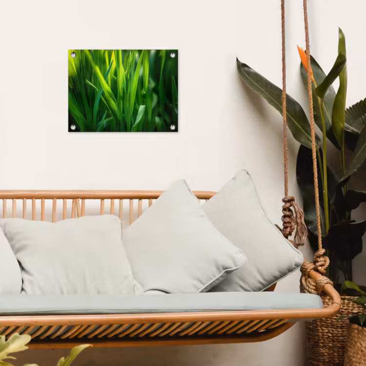 Tuinposter - Grassprieten - Lichtinval - Groen — 5