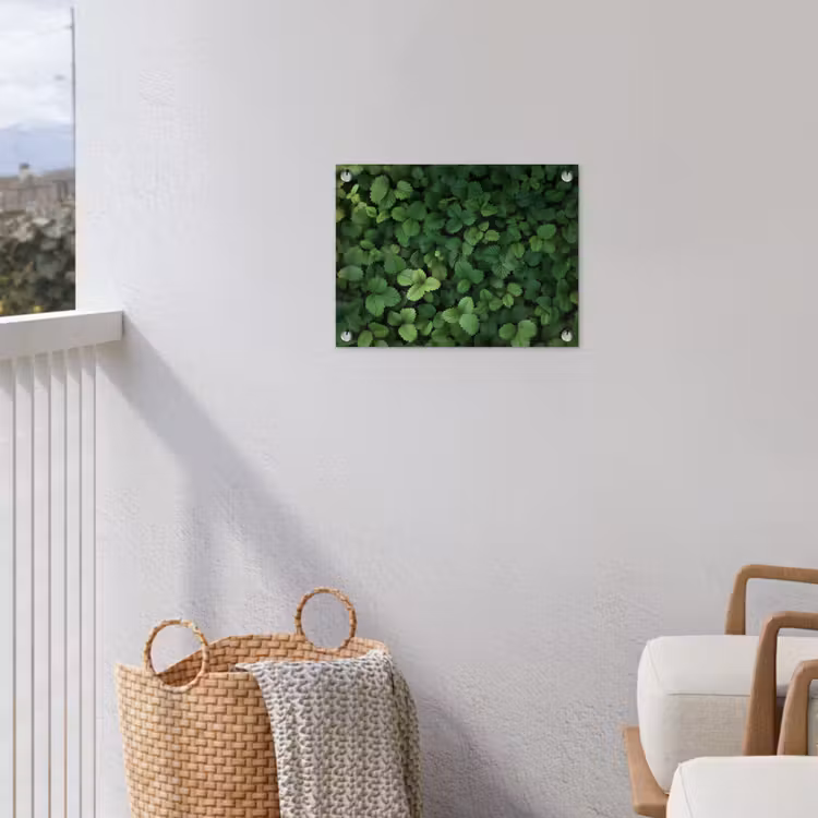 Tuinposter - Groen - Bladeren - Kartel - Zonlicht — 3