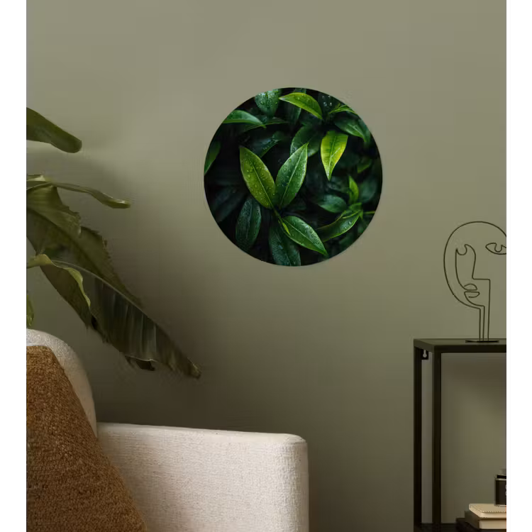Behangcirkel - Bladeren - Regendruppels - Licht - Groen — 3