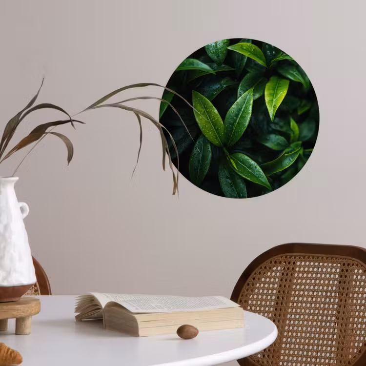 Behangcirkel - Bladeren - Regendruppels - Licht - Groen — 4