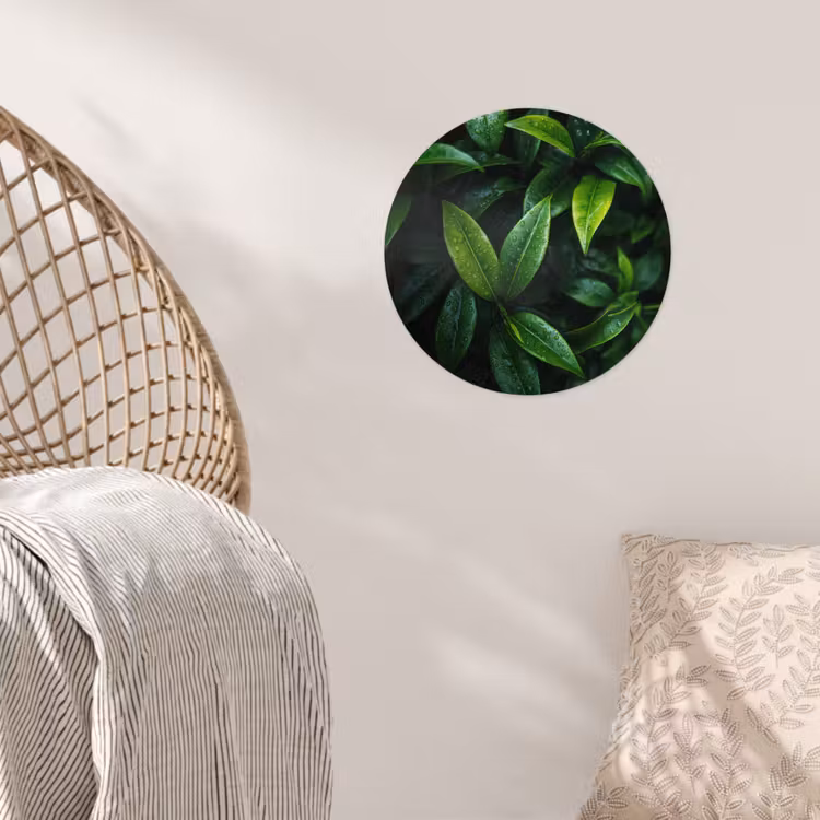 Behangcirkel - Bladeren - Regendruppels - Licht - Groen — 5