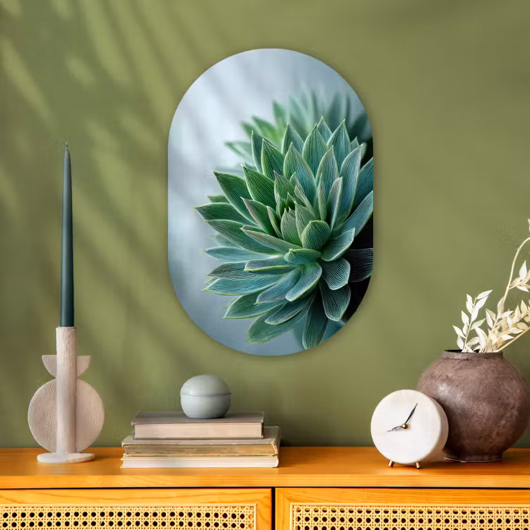 Muurovaal - Vetplant - Bladeren - Groen - Wazig — 1