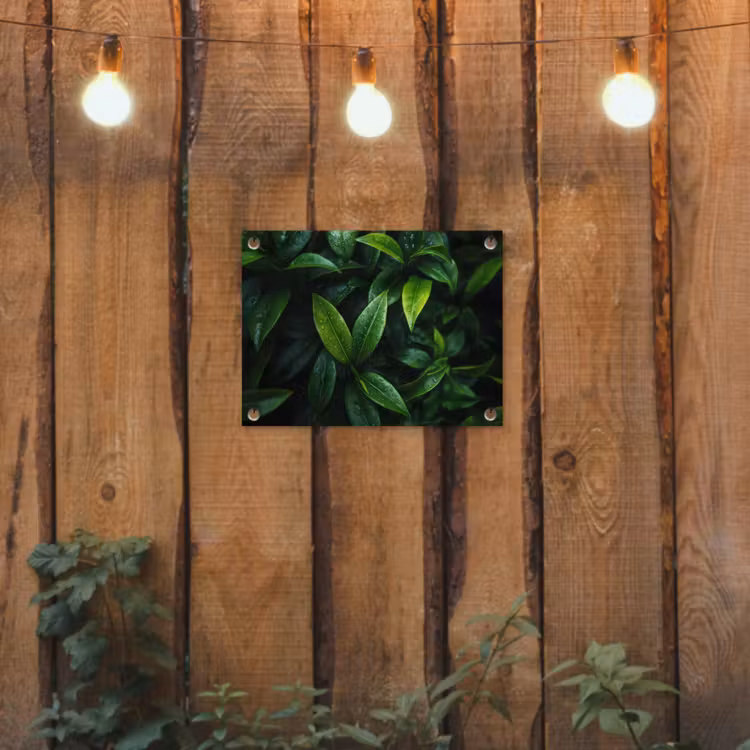 Tuinposter - Bladeren - Regendruppels - Licht - Groen — 2