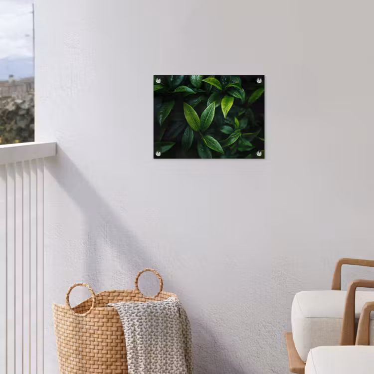 Tuinposter - Bladeren - Regendruppels - Licht - Groen — 3