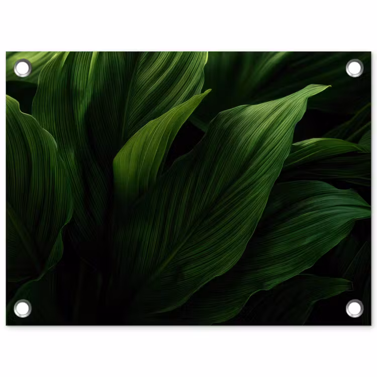 Tuinposter - Bladeren - Schaduw - Groen - Textuur — 1