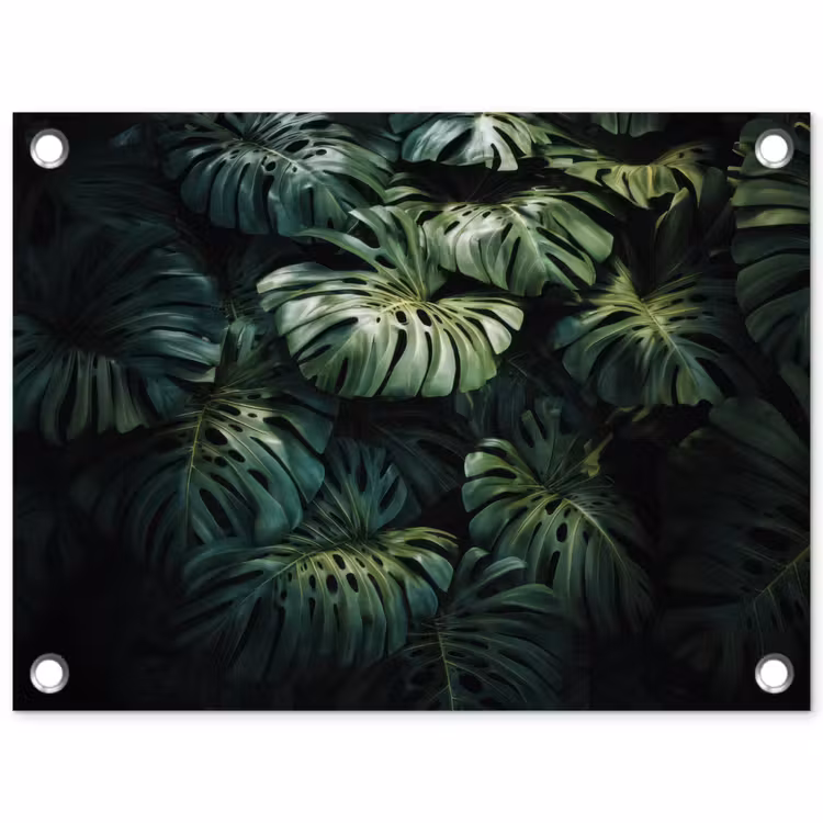 Tuinposter - Plant - Monstera - Lichtinval — 1