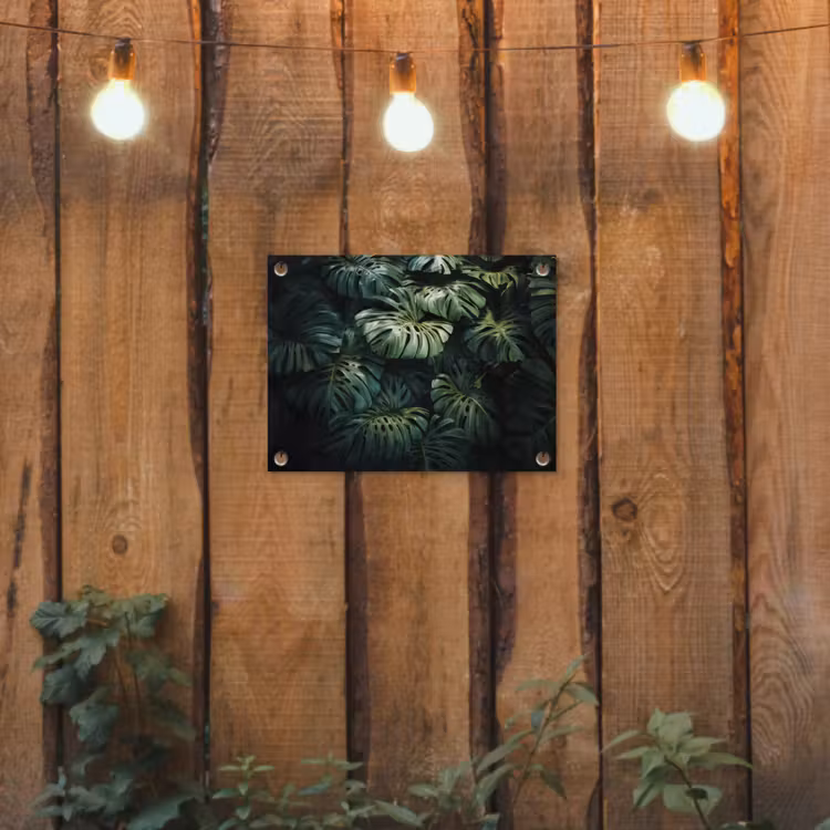 Tuinposter - Plant - Monstera - Lichtinval — 2