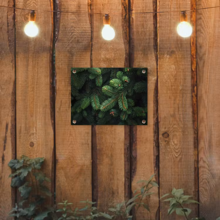Tuinposter - Sparrentakken - Knoppen - Naalden - Groen — 2