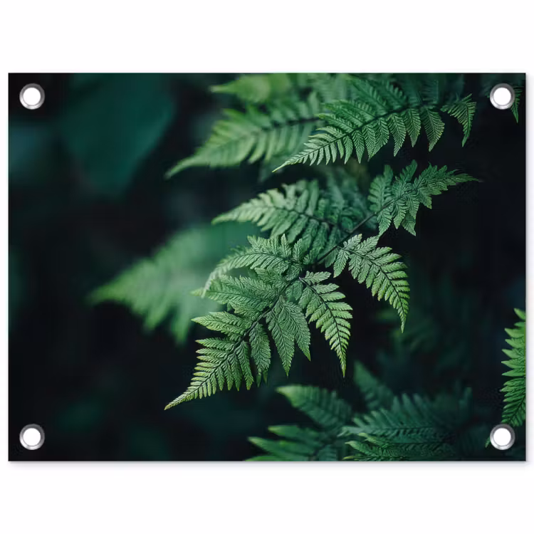 Tuinposter - Varenblad - Groen - Structuur - Wazig — 1