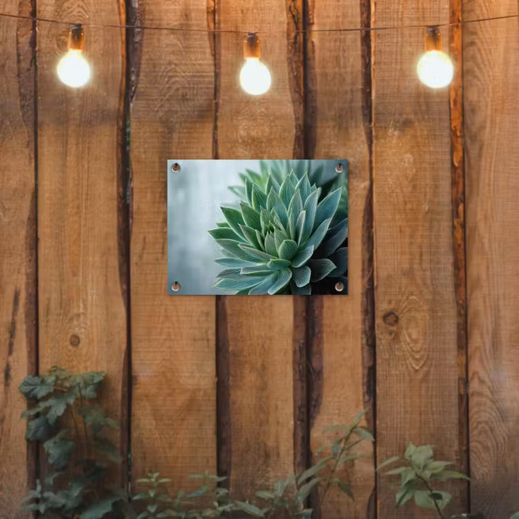 Tuinposter - Vetplant - Bladeren - Groen - Wazig — 2
