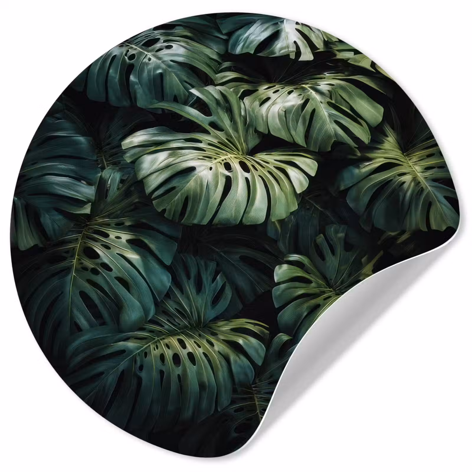 Behangcirkel - Plant - Monstera - Lichtinval — 1