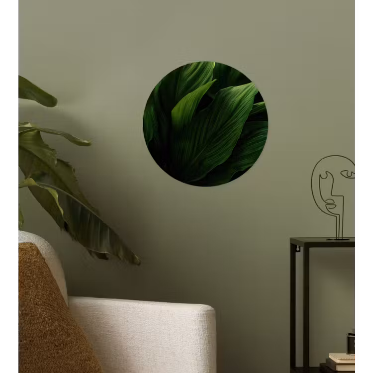 Behangcirkel - Bladeren - Schaduw - Groen - Textuur — 3