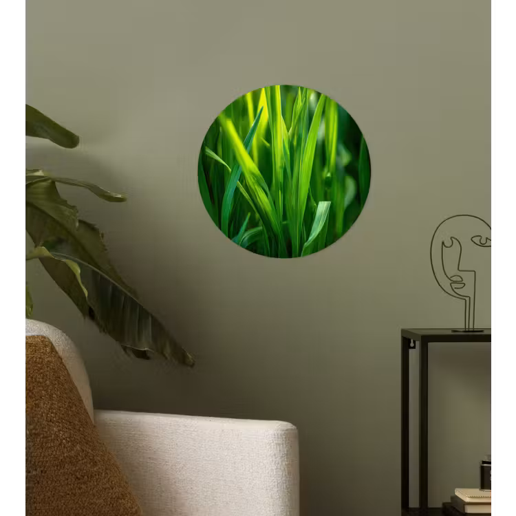 Behangcirkel - Grassprieten - Lichtinval - Groen — 3