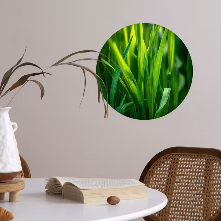 Behangcirkel - Grassprieten - Lichtinval - Groen — 4
