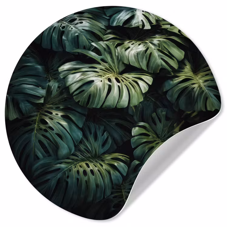 Behangcirkel - Plant - Monstera - Lichtinval — 1