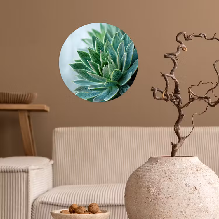 Behangcirkel - Vetplant - Bladeren - Groen - Wazig — 2