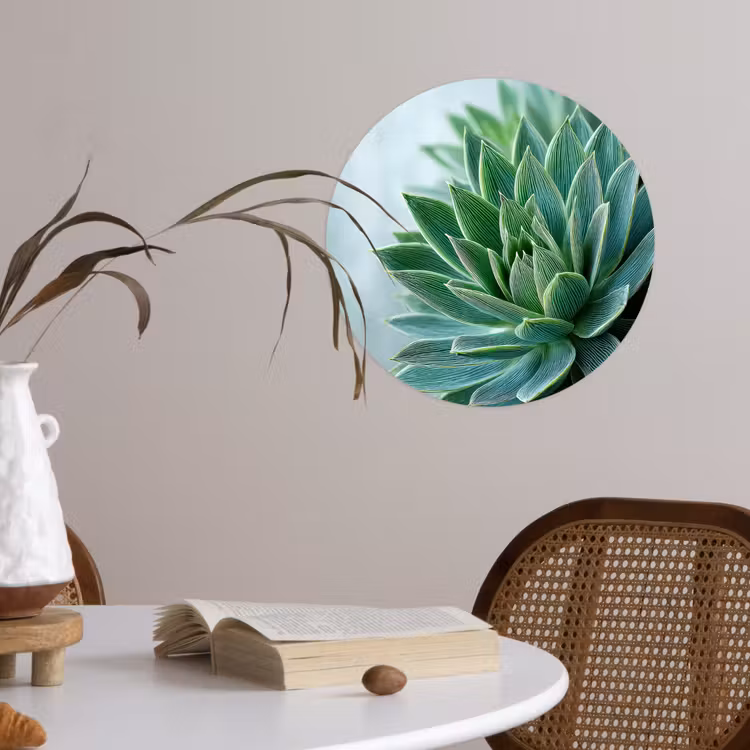 Behangcirkel - Vetplant - Bladeren - Groen - Wazig — 4