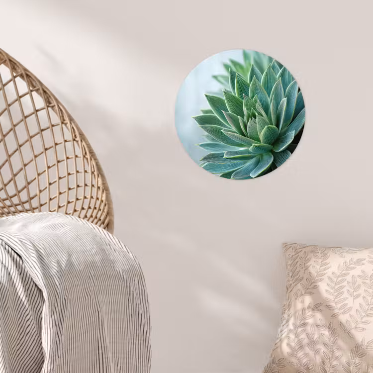 Behangcirkel - Vetplant - Bladeren - Groen - Wazig — 5