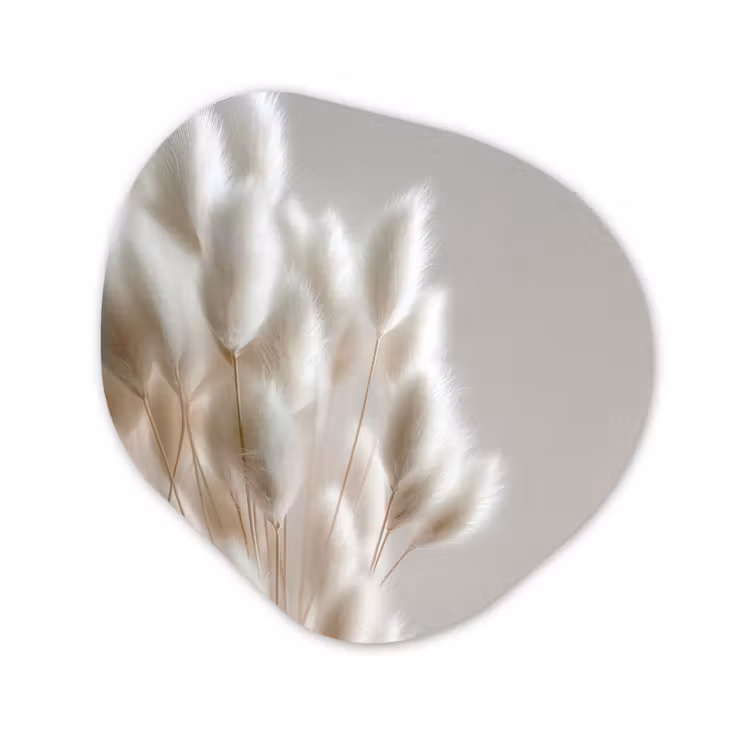 Organisch schilderij – Droogbloemen Hazenstaartgras Beige